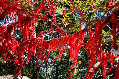 《荒芜月球》现已在PC上推出 2024年Q1登陆主机