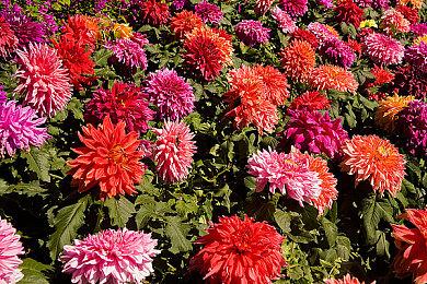 《魔界战记7》新DLC与季票上线 新原创剧本追加